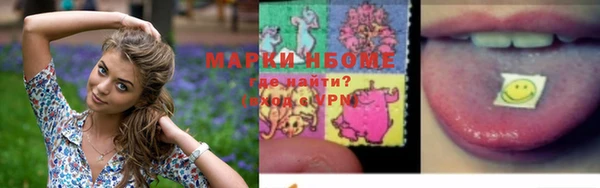 ешки Аркадак